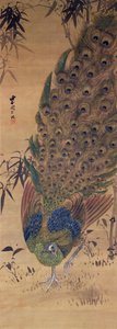 Peacock and Bamboo by Japanese School